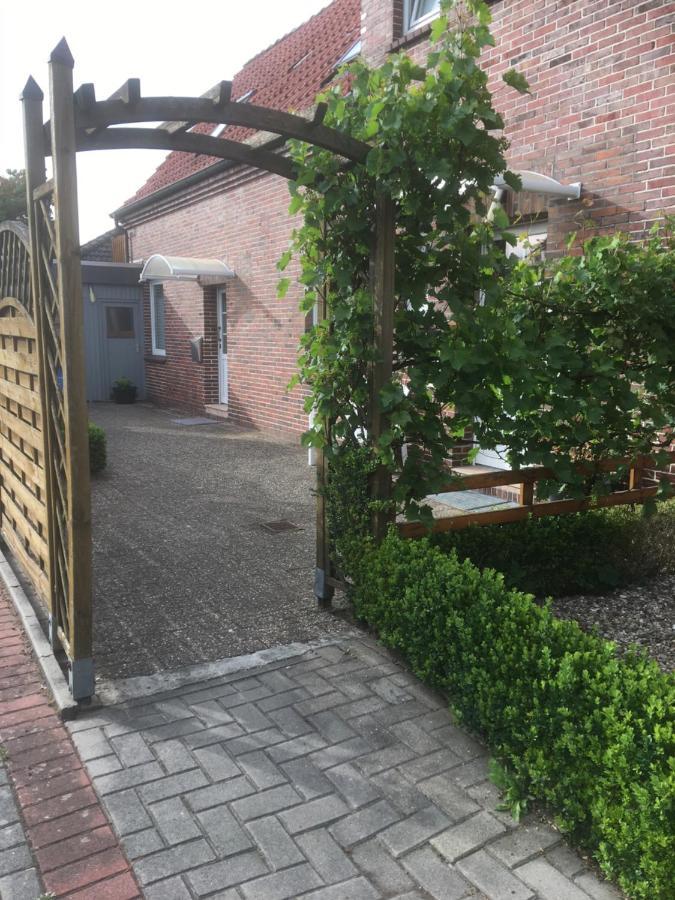Bruni I Oldenburg